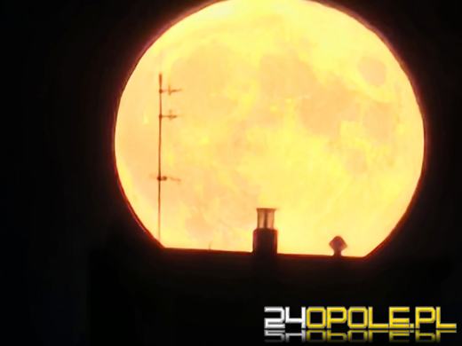 Bobrzy Księżyc. Zbliża się listopadowa superpełnia