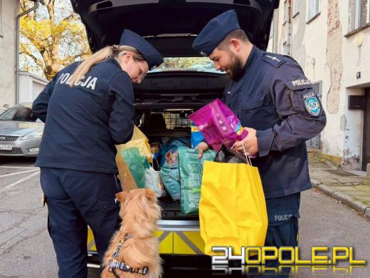 Wsparli bezdomne psiaki. Piękna akcja policjantów z Kędzierzyna-Koźle