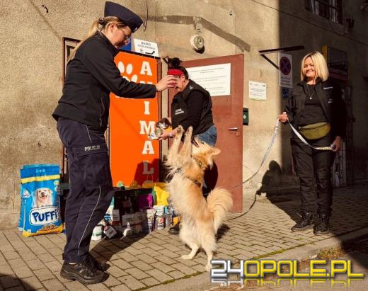 Wsparli bezdomne psiaki. Piękna akcja policjantów z Kędzierzyna-Koźle
