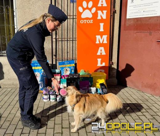 Wsparli bezdomne psiaki. Piękna akcja policjantów z Kędzierzyna-Koźle