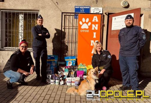 Wsparli bezdomne psiaki. Piękna akcja policjantów z Kędzierzyna-Koźle