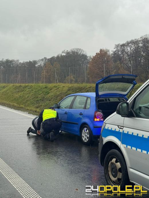 Niecodzienny widok na krajowej "czterdziestce". Policjanci zatrzymali radiowóz i...