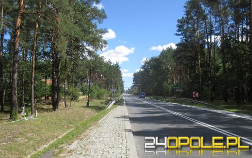 Nowa ścieżka pieszo-rowerowa połączy Ozimek z Grodźcem - 12 firm złożyło oferty