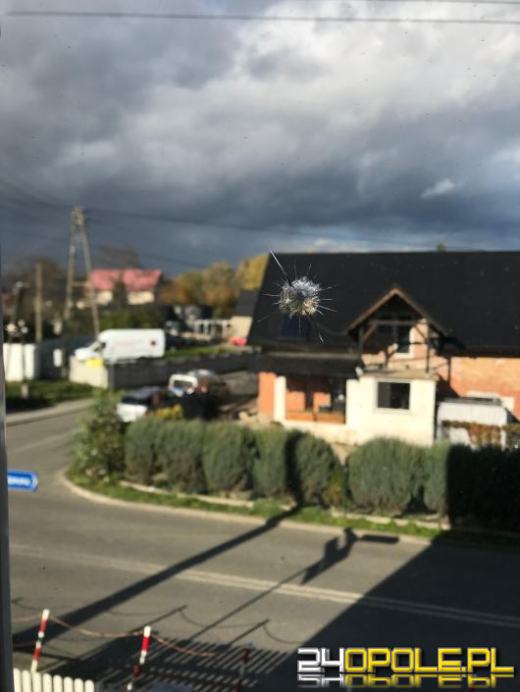 Zafundował piekło całej szkole, twierdzi, że nieświadomie. 38-latek z zarzutami (WIDEO)