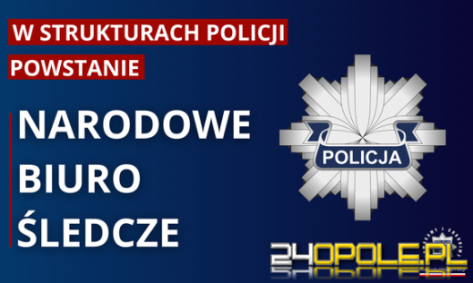 Narodowe Biuro Śledcze - nowy etap Polskiej Policji