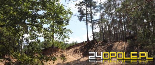 Opolszczyzna zyska nowe rezerwaty przyrody. Trwa proces ich ustanawiania