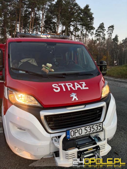 Długi weekend na drogach. Uważajcie - ślisko i niebezpiecznie!