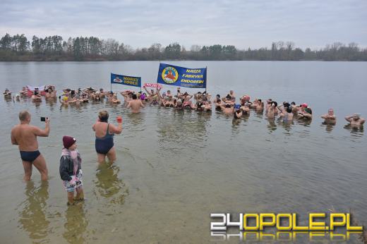 Morsy z Opola rozpoczęły 19. sezon kąpieli w zimnej wodzie (WIDEO)