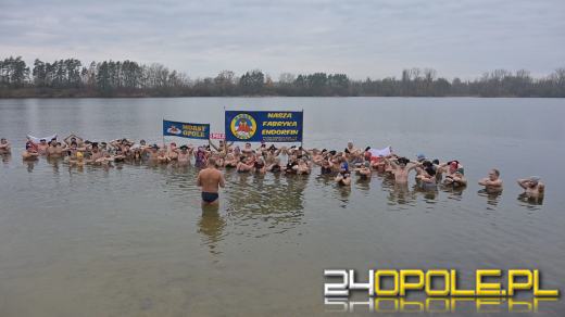 Morsy z Opola rozpoczęły 19. sezon kąpieli w zimnej wodzie (WIDEO)
