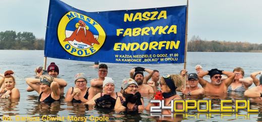 Zimna woda na Bolko znów przyciągnęła morsów