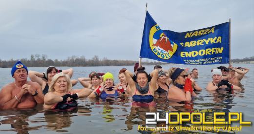 Zimna woda na Bolko znów przyciągnęła morsów