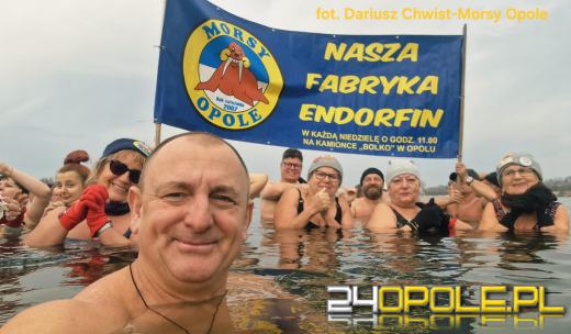 Zimna woda na Bolko znów przyciągnęła morsów