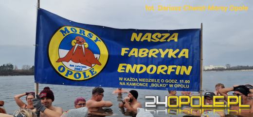 Zimna woda na Bolko znów przyciągnęła morsów