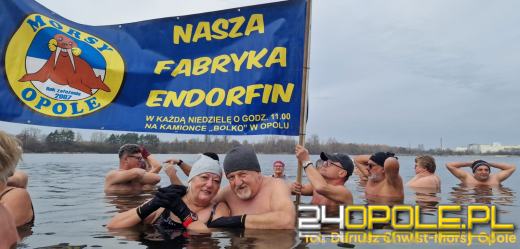 Zimna woda na Bolko znów przyciągnęła morsów