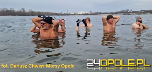 Zimna woda na Bolko znów przyciągnęła morsów