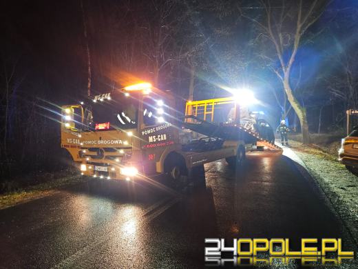 Wypadek w Dąbrówce Łubniańskiej. Kierowca trafił do szpitala