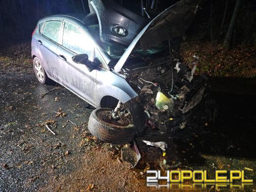 Wypadek w Dąbrówce Łubniańskiej. Kierowca trafił do szpitala