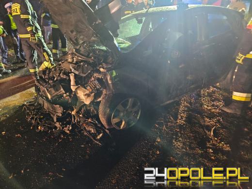 Wypadek w Dąbrówce Łubniańskiej. Kierowca trafił do szpitala