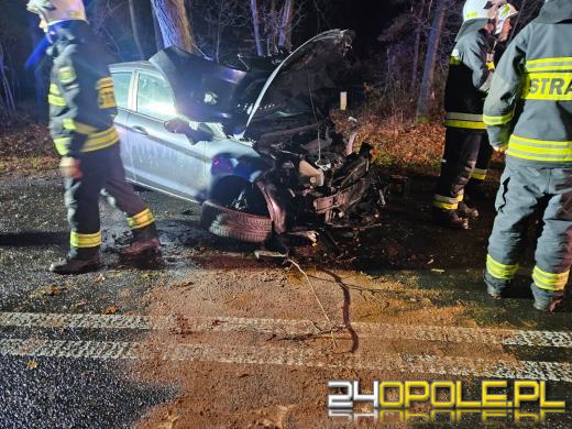 Wypadek w Dąbrówce Łubniańskiej. Kierowca trafił do szpitala