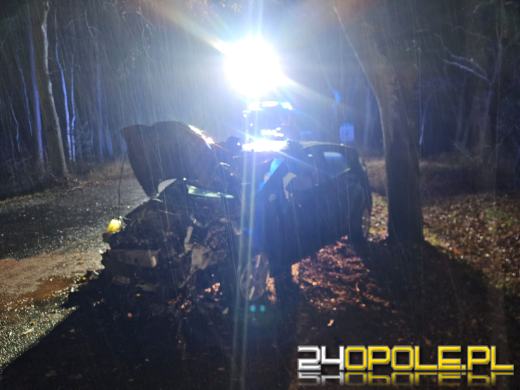 Wypadek w Dąbrówce Łubniańskiej. Kierowca trafił do szpitala