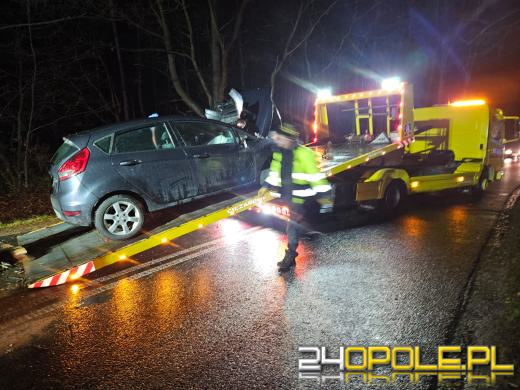 Wypadek w Dąbrówce Łubniańskiej. Kierowca trafił do szpitala