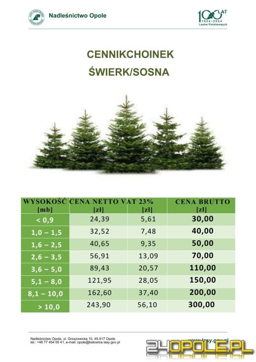 Choinkobranie 2025: Świąteczna tradycja wraca do Dąbrowy