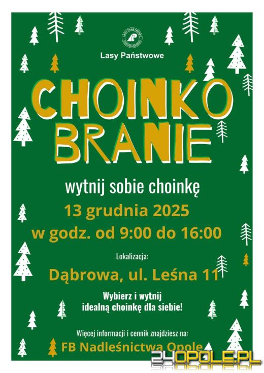 Choinkobranie 2025: Świąteczna tradycja wraca do Dąbrowy