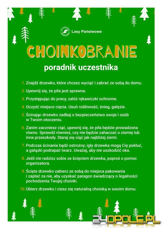 Choinkobranie 2025: Świąteczna tradycja wraca do Dąbrowy