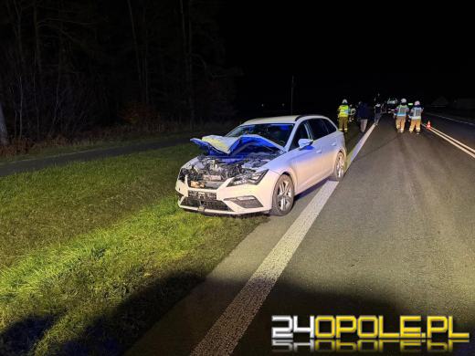 Zderzenie osobówki ze zwierzyną w Bzinicy Starej