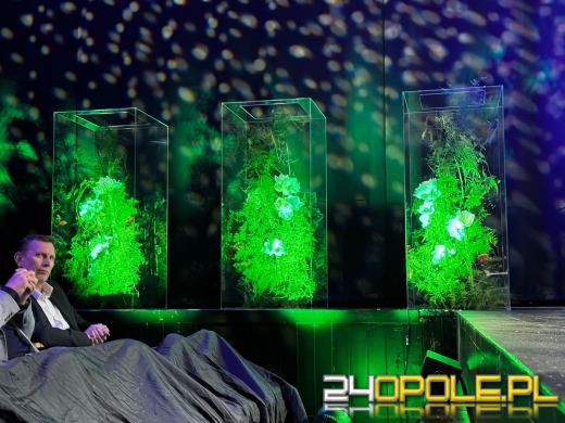 Ludzie kultury uhonorowani. Wyjątkowa gala w Teatrze Kochanowskiego