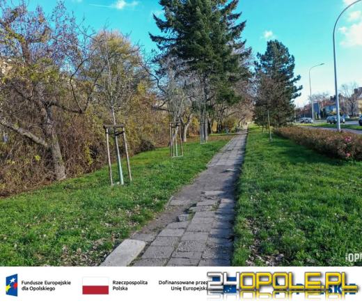 Ruszają kolejne prace przy nowych trasach pieszo-rowerowych w Opolu