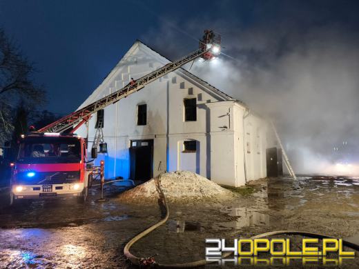 Pożar budynku gospodarczego przy stadninie w Mosznej. Ewakuowano 22 konie