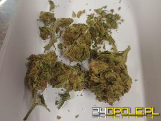 Zatrzymani za posiadanie i udzielanie narkotyków nieletnim