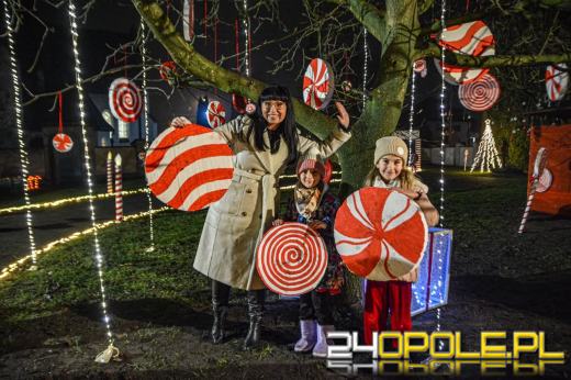 Wioska Mikołaja w Żelaznej. Świąteczna inicjatywa żłobka i przedszkola