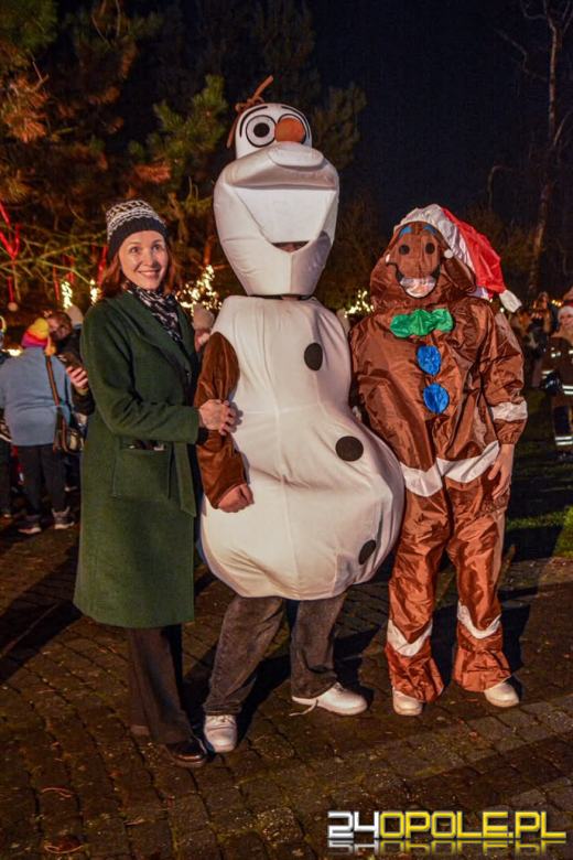 Wioska Mikołaja w Żelaznej. Świąteczna inicjatywa żłobka i przedszkola