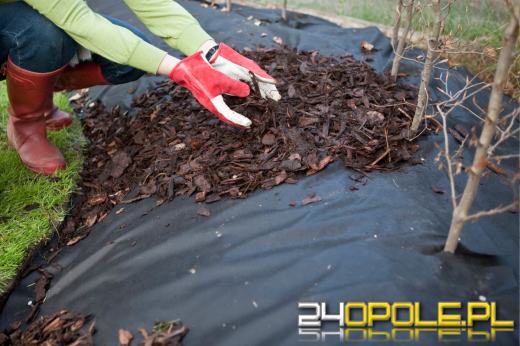 Agrowłóknina czy agrotkanina? Co wybrać przy zakładaniu ogrodu