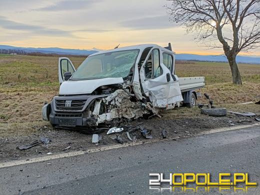 Zderzenie dwóch pojazdów na DK46 pod Nysą. Cztery osoby w szpitalu, w tym dzieci