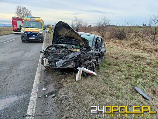 Zderzenie dwóch pojazdów na DK46 pod Nysą. Cztery osoby w szpitalu, w tym dzieci