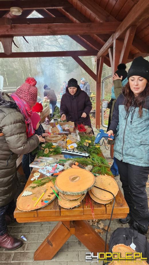 Wytnij, zabierz do domu. Choinkobranie 2025 trwa w Leśnictwie Dąbrowa