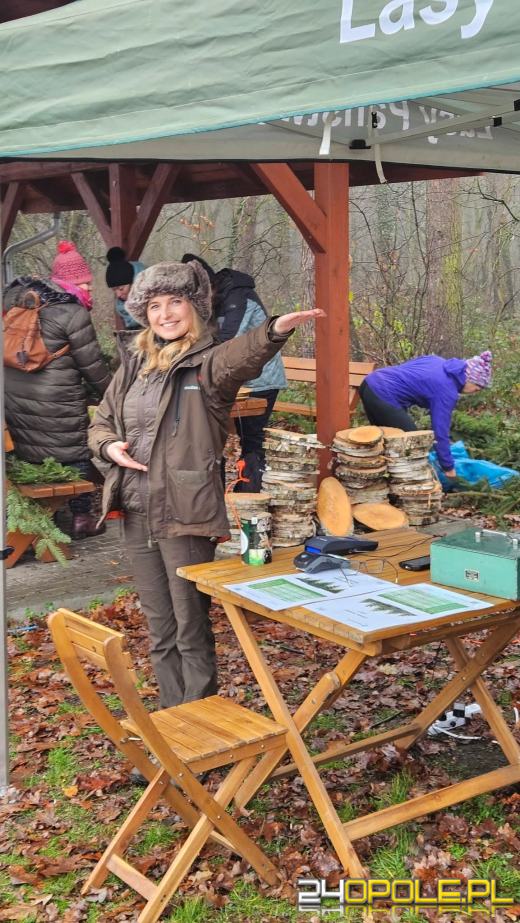 Wytnij, zabierz do domu. Choinkobranie 2025 trwa w Leśnictwie Dąbrowa