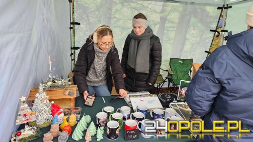 Wytnij, zabierz do domu. Choinkobranie 2025 trwa w Leśnictwie Dąbrowa