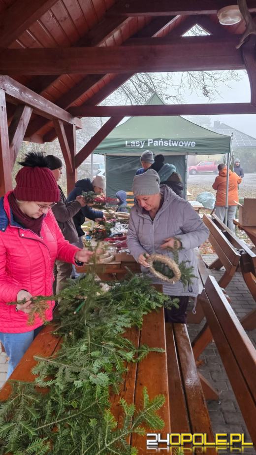 Wytnij, zabierz do domu. Choinkobranie 2025 trwa w Leśnictwie Dąbrowa