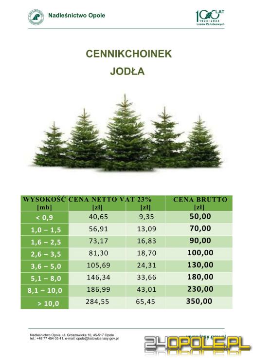 Wytnij, zabierz do domu. Choinkobranie 2025 trwa w Leśnictwie Dąbrowa