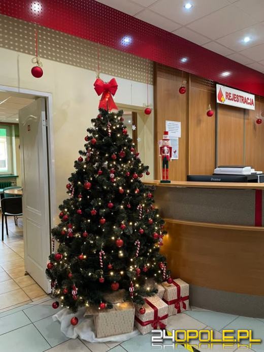 Choinka w podziękowaniu za cenny dar. Świąteczna akcja w opolskim RCKiK
