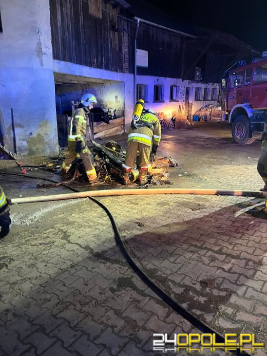 Pożar piwnicy w budynku mieszkalnym w Witosławicach