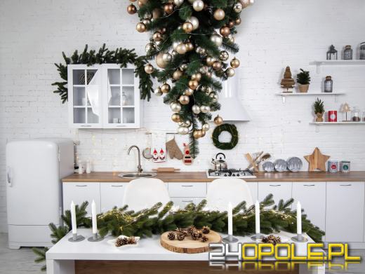 Zanim pojawiła się choinka. Podłaźniczka - zapomniany symbol świąt