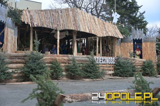 Dziś kolędowanie przy szczepanowickiej szopce. Widzieliście już? 