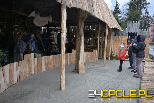 Dziś kolędowanie przy szczepanowickiej szopce. Widzieliście już? 