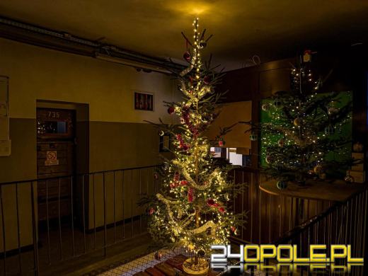 Święta Bożego Narodzenia za wysokimi murami 