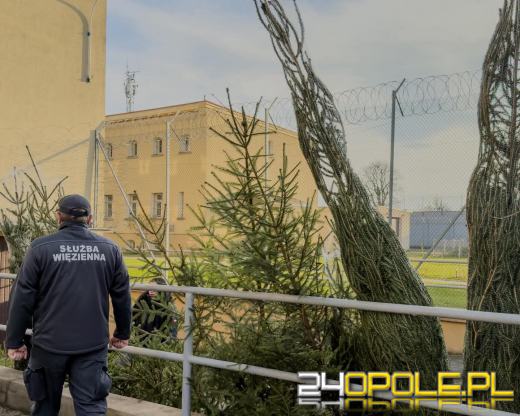 Święta Bożego Narodzenia za wysokimi murami 